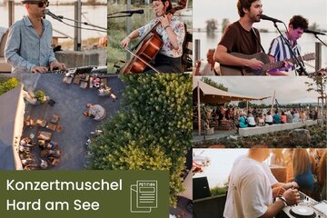 Image of the petition Rettung Konzertmuschel Hard am See (seit 1995) - Gemeinsam für den Erhalt! JETZT ZEICHEN SETZEN