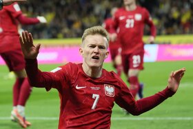 Image of the petition: Review Poland vs Sweden (3:2) Result Over Refereeing Decisions