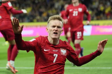 Petitsiooni pilt Review Poland vs Sweden (3:2) Result Over Refereeing Decisions
