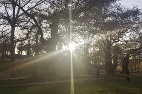 Petitsiooni pilt: Richiesta Riorganizzazione Dell'area Cani "Valle Dei Cani" Di Villa Borghese A Roma