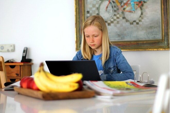 Изображение петиции Rücktritt der Verantwortlichen für den Zusammenbruch des Online-Schooling in BW