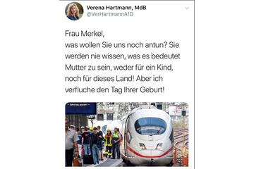 Bild der Petition Rücktrittsforderung Verena Hartmann (AfD)