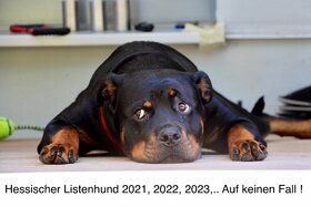 Foto e peticionit:Sachkunde-orientierte Novellierung der HundeVO zur wirksameren Gefahrenabwehr.