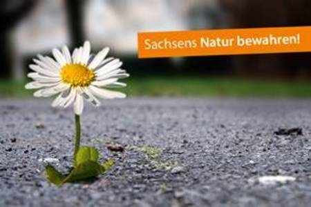 Bild der Petition: Sachsens Natur bewahren!