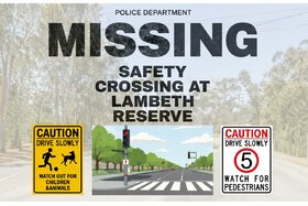 Image of the petition: Safe Pedestrian Access to Lambeth Reserve Across Henry Lawson Drive