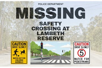 Image de la pétition Safe Pedestrian Access to Lambeth Reserve Across Henry Lawson Drive