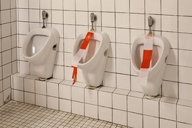 Bild der Petition: Sanierung der renovierungsbedürftigen Toiletten der Grundschule Alt-Blankenstein