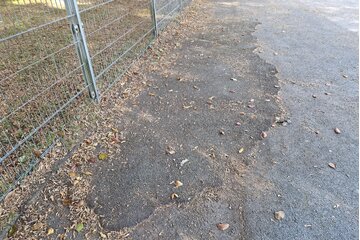 Bild der Petition Sanierung des Bolzplatzes & Basketballplatz Stadtpark Döinghauserstr (Marienhospital) 58332 Schwelm