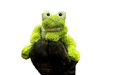 Image of the petition Sascha for Schwimmtrainer im SSE