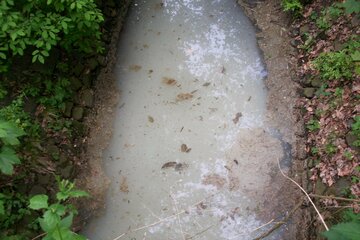 Bild der Petition Saubere Umwelt