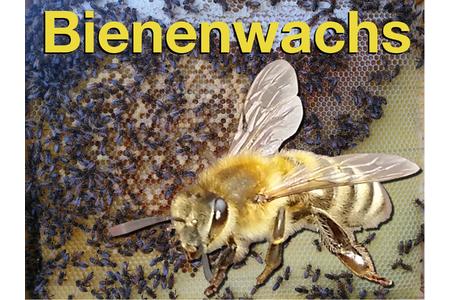Kuva vetoomuksesta:sauberes Bienenwachs, gesündere Bienen, gesündere Menschen