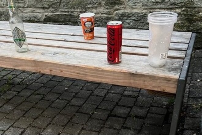 Bild der Petition Sauberkeit und Sicherheit am Eingangsvorplatz der Kronthal-Schule – Bitte um Unterstützung