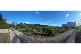 Bild der Petition: Sauvons les Jardins familiaux de La Caroline : Non à une expulsion prématurée