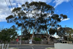 Poza petiției:Save Darebin's Significant Trees!