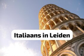 Picture of the petition:Save Italian language and culture programme at Leiden University