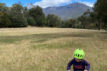 Image of the petition Stop the Fence: Save Lower Wellesley Park