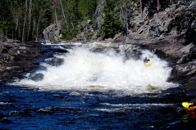 Imagem da petição Save Skogsåi!