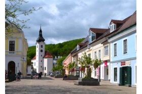 Bild der Petition: Schattenspendende Bäume am Hauptplatz Purkersdorf