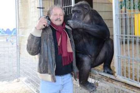 Bild der Petition: Schimpanse Robby sollte in seiner gewohnten Umgebung bleiben