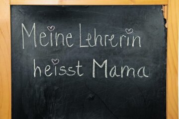 Bild der Petition Schließung aller Schulen  JETZT im 2. Lockdown