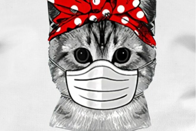 Bild der Petition Schliessung Der Schulen