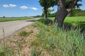 Bild der Petition: Schlimme Unfälle am Promilleweg verhindern! Ustersbach – Dinkelscherben