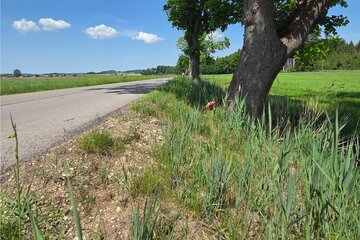 Bild der Petition Schlimme Unfälle am Promilleweg verhindern! Ustersbach – Dinkelscherben