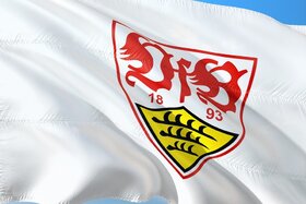 Slika peticije:Appell: Schluss mit dem Chaos beim VfB Stuttgart !