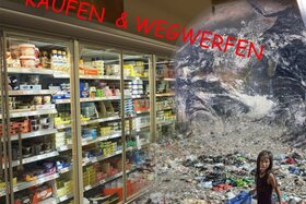 Imagen de la petición:Schluss mit dem Müllwahnsinn in deutschen Supermärkten und Discountern