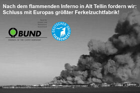 Picture of the petition:Schluss mit der Schweinefabrik Alt Tellin!
