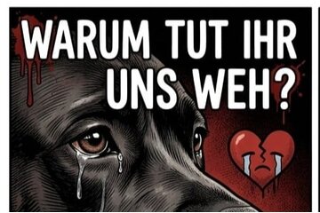 Bild der Petition Schluss mit Kuscheljustiz bei Tierquälerei:
