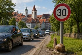 Bild der Petition: Schluss mit Schleichfahrt – Tempo 30 in Wangen abschaffen!
