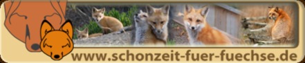 Bild på petitionen:Schonzeit für Füchse