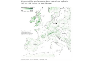 Image of the petition School kids plant trees every Friday