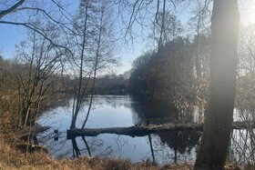 Bild der Petition: Schützt Berlins Naherholungsgebiete vor Windkraftanlagen