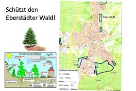 Bild der Petition: Schützt den Eberstädter Wald (EILT SEHR, bis 25.06.2020)