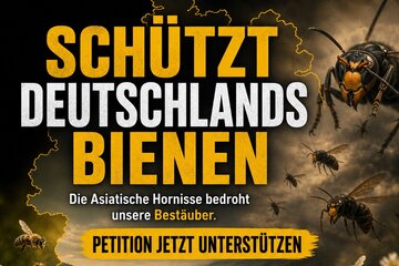 Bild der Petition Schützt Deutschlands Bienen  Asiatische Hornisse stoppen, Nester melden und fachgerecht entfernen
