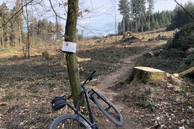Peticijos nuotrauka:Schützt die Wälder im Kanton Zürich