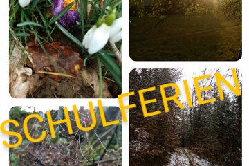Bild der Petition Schulferien an Tarifurlaubstage anpassen