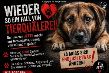 Bild der Petition Schutz aller Tiere vor Tierquälerei