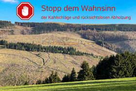 Kép a petícióról:Schutz des Thüringer Waldes: Stopp für Kahlschläge und rücksichtslose Abholzung