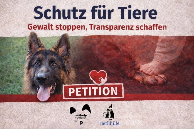 Bilde av begjæringen Schutz für Tiere – Gewalt stoppen, Transparenz schaffen