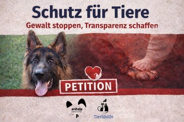 Image de la pétition Schutz für Tiere – Gewalt stoppen, Transparenz schaffen