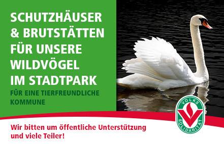 Bild der Petition: Schutz für Wildvögel im Sondershäuser Park