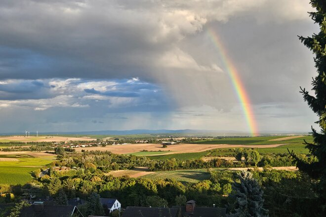 Image of the petition Keine weiteren Windkrafträder in der Zornheimer Gemarkung