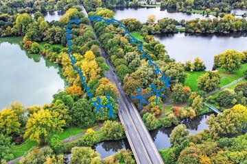 Bild der Petition SCHUTZWALD-Patenschaften für die BÄUME/den TrassenWALD am Südschnellweg in der Leinemach in Hannover