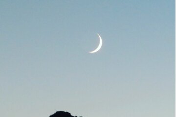 Bild der Petition (Schwer / geistig) Behinderten Wohngruppe