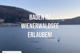 Bild der Petition: Schwimmen im Wienerwaldsee ermöglichen!