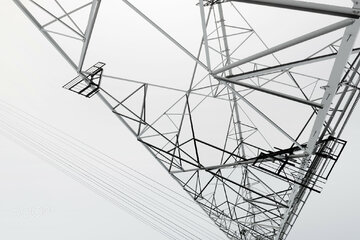 Imagen de la petición scofieldmichael