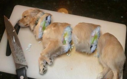 Bild der Petition: Seite Gegenhund.org muss geschlossen werden!
